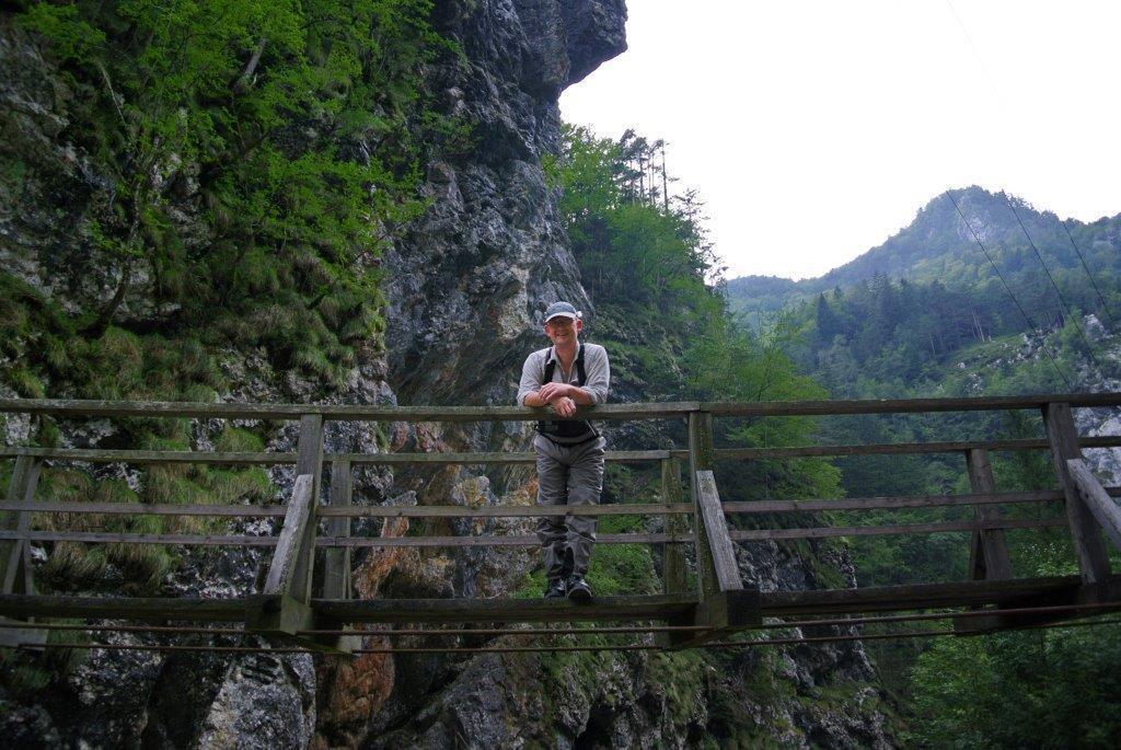 Farm Stay Bukovje Ljubno ภายนอก รูปภาพ