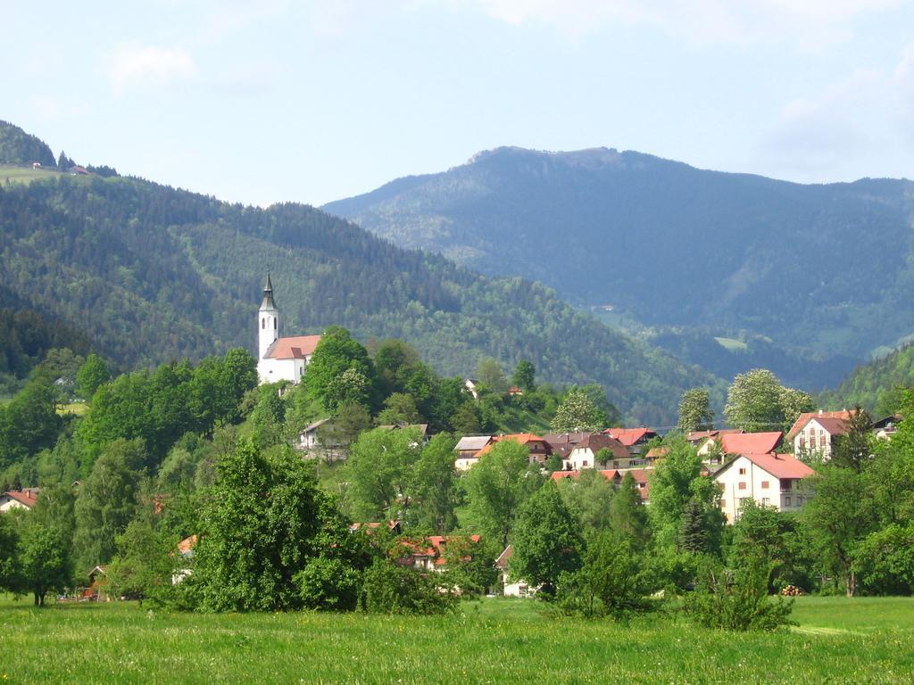 Farm Stay Bukovje Ljubno ภายนอก รูปภาพ