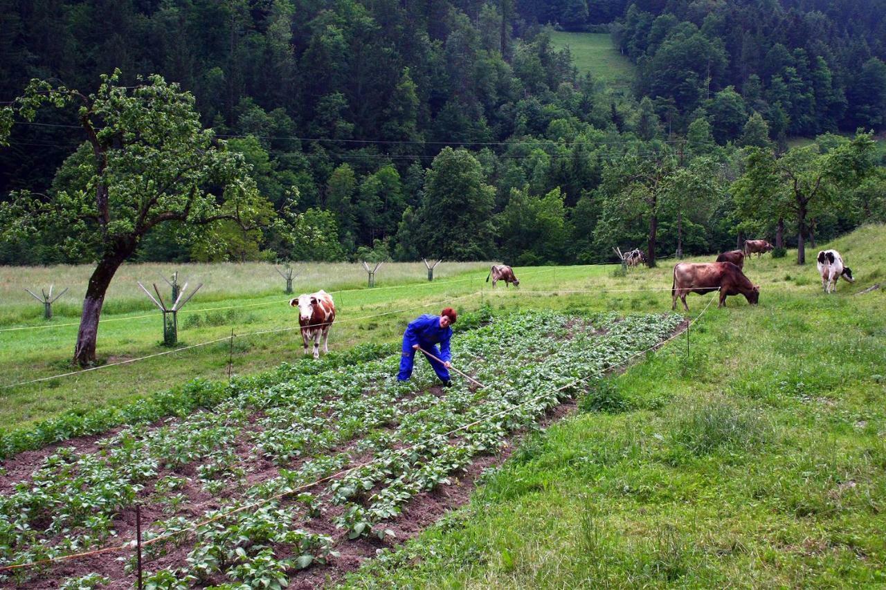 Farm Stay Bukovje Ljubno ภายนอก รูปภาพ